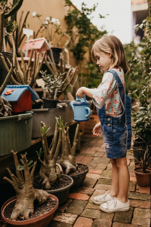 Pige der vander sine planter med en fin vandkande